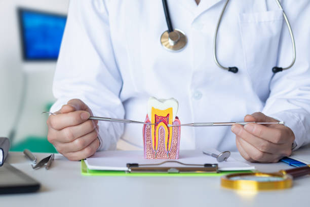 Best Broken or Chipped Tooth Repair in New Lisbon, WI